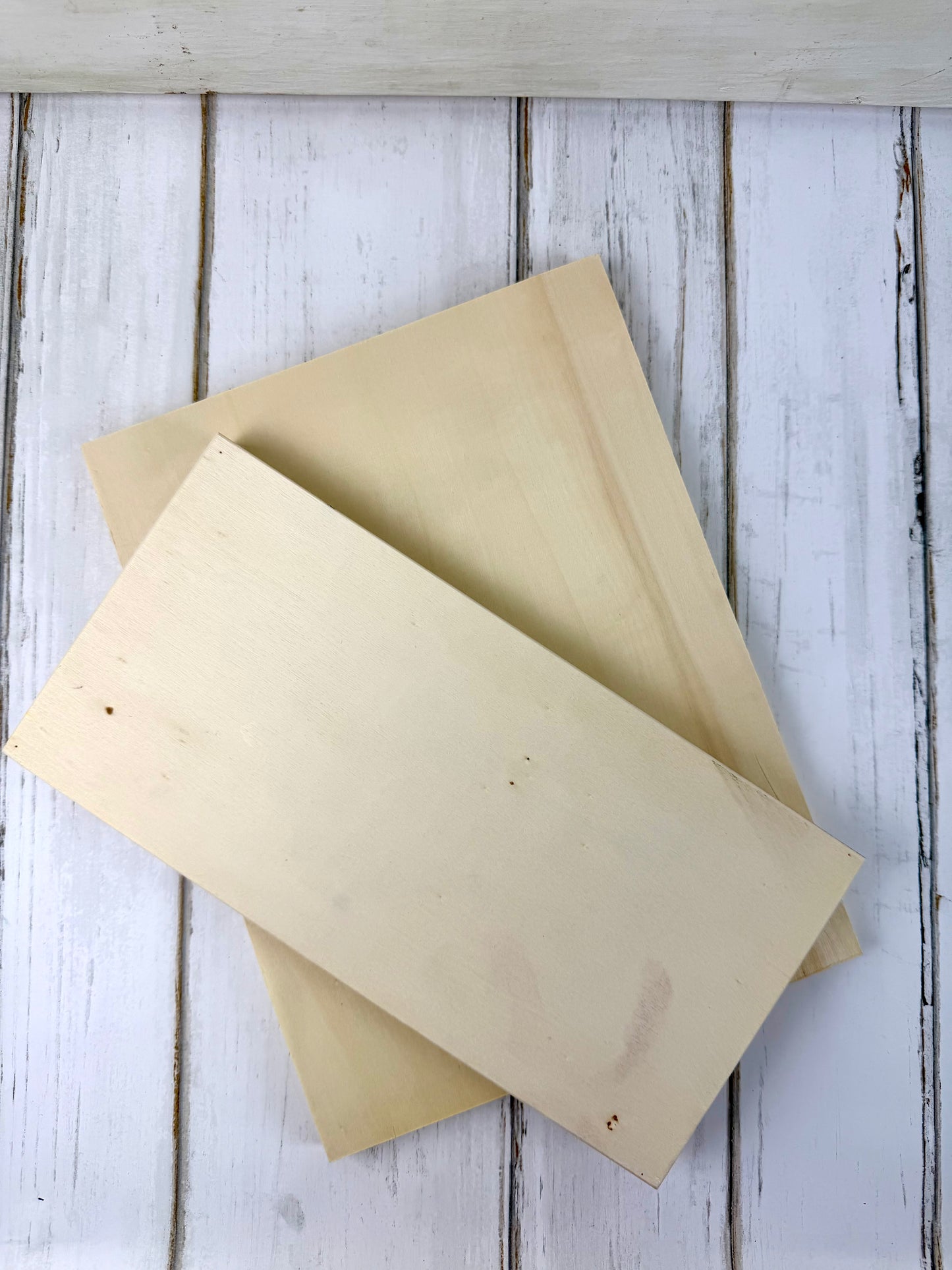 Wood Canvas Panel 9x12