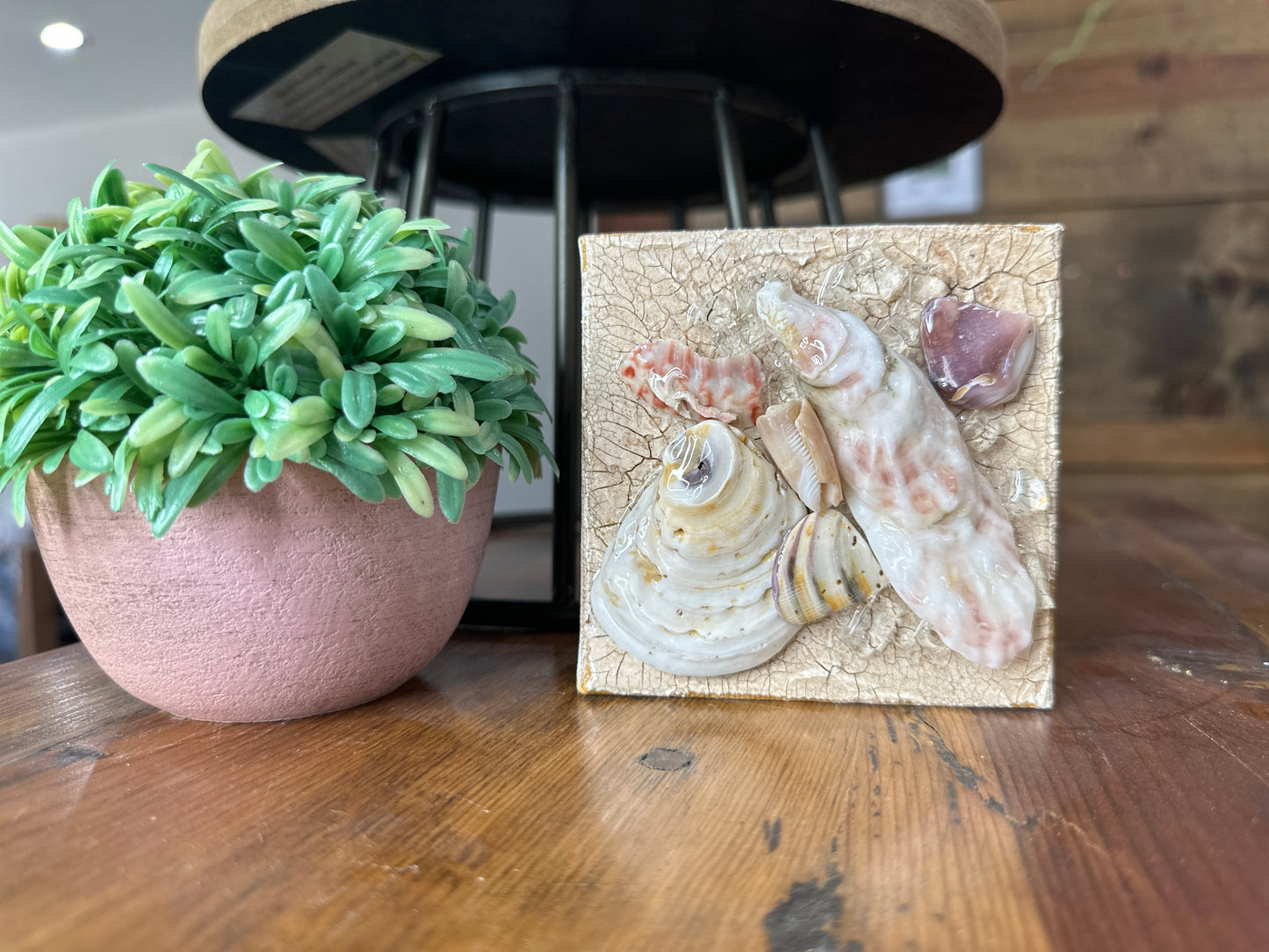 Mini Oyster Art