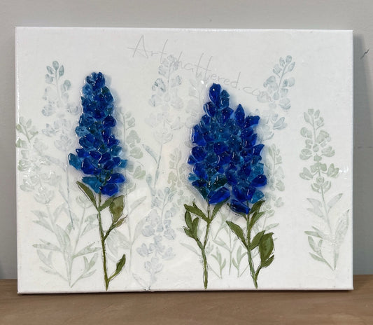 Texas Bluebonnets